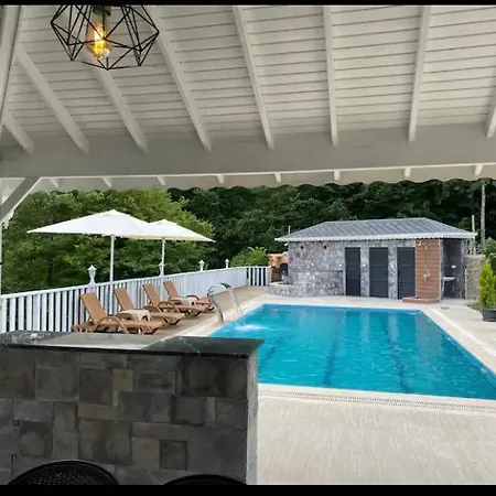 Mustakil,havuzlu,somineli Luks Vadi Villa Sakarya (Marmara)